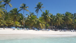 Saona